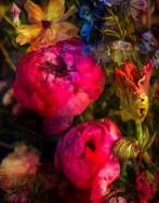 Viet Ha Tran - Garden of Hope I, Antiek en Kunst