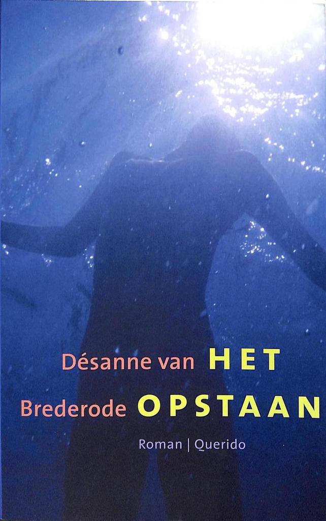 Het opstaan 9789021452876 Désanne van Brederode, Boeken, Romans, Gelezen, Verzenden