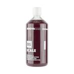 Innovacar DS Scale Shampoo Autoshampoo (Shampoo & Foam), Auto diversen, Onderhoudsmiddelen, Ophalen of Verzenden