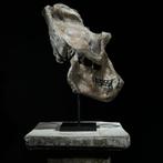 Geen minimale verkoopprijs - Een replica van een, Antiek en Kunst