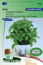 Stevia Honingplant Honingkruid Zaden: Kweek Zoete,, Tuin en Terras, Bloembollen en Zaden, Verzenden
