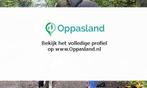 Ik ben Lianne, 21 jaar oud en ik zoek oppaswerk in Lopik.