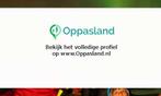 Sander zoekt een oppas in Leiden voor 3 kinderen., Vacatures