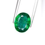 Smaragd - 6.05 ct - International Gemological Institute, Sieraden, Tassen en Uiterlijk, Edelstenen, Nieuw