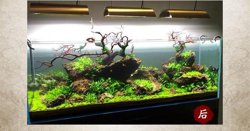 Jiang Jing stone 10-20cm - aquarium decoratie stenen, Dieren en Toebehoren, Vissen | Aquaria en Toebehoren, Nieuw, Verzenden