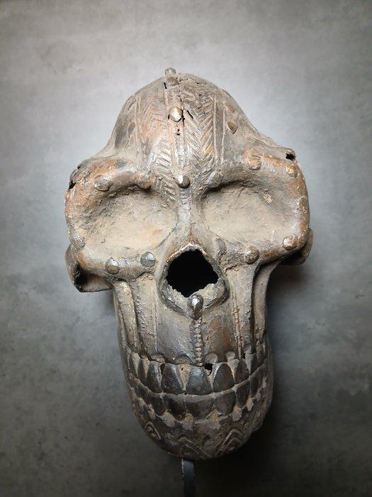 Schedel - Igbo - Nigeria (Zonder Minimumprijs), Antiek en Kunst, Kunst | Niet-Westerse kunst