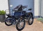 Leon menwagen koets rijtuig recreatiewagen, Gebruikt, Overige typen, Paard of Pony