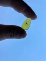Amber - Barnsteen - Limoniidae , Burmese Amber, Insect Amber