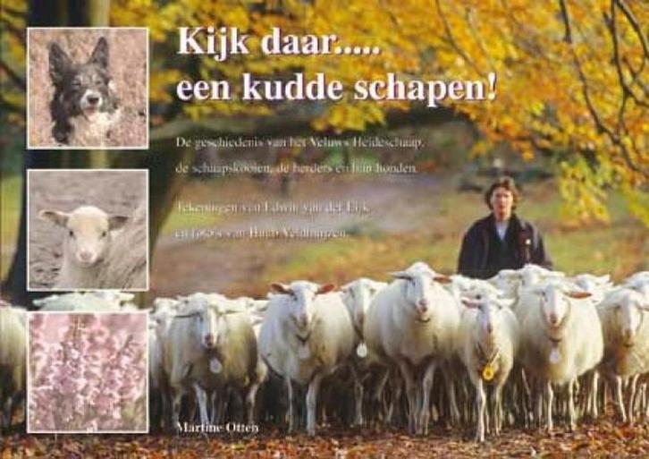 Kijk Daar... Een Kudde Schapen! 9789078215318 Marcel Otten, Boeken, Geschiedenis | Stad en Regio, Zo goed als nieuw, Verzenden