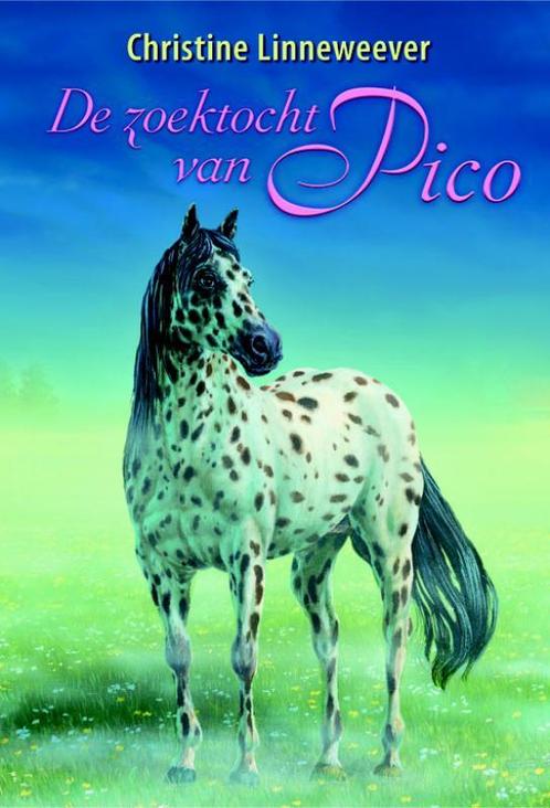 Gouden paarden - De zoektocht van Pico 9789020622225, Boeken, Kinderboeken | Jeugd | 10 tot 12 jaar, Gelezen, Verzenden
