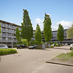 Appartement met 3 slaapkamers en balkon gevonden in Badhoeve, Appartement, Direct bij eigenaar, Badhoevedorp