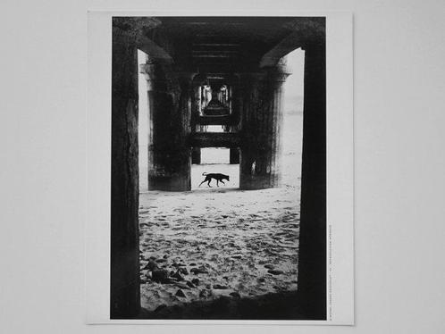 Michel Vanden Eeckhoudt - Madeira, Portugal, 1994, Antiek en Kunst, Kunst | Schilderijen | Modern