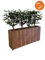 Verrijdbare plantenbak - 160x80cm - Cognac Walnoten, Werkplek, Ophalen of Verzenden, Gebruikt, Overige typen