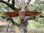 sculptuur, Schitterende uil - Oehoe - Spanwijdte 96 cm -, Antiek en Kunst, Curiosa en Brocante