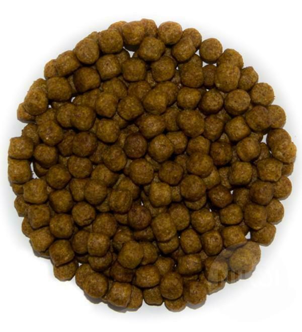 15 Kilo (40 liter) Koivoer GROWER met gratis product !, Dieren en Toebehoren, Vissen | Vijvervissen, Karper of Koi