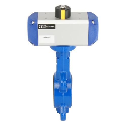 DN50 (2 inch) Wafer Pneumatische Vlinderklep GGG40-RVS-EPDM, Doe-het-zelf en Verbouw, Gereedschap | Machine-onderdelen en Toebehoren