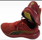 Ferrari - Formule 1 - 2024 - Teamkleding, Nieuw