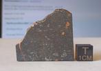NWA 8681 - Eucrite-br (maanachtig) meteoriet, dunne snede -, Verzamelen, Mineralen en Fossielen