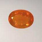 1 pcs Oranje Vuuropaal - 13.19 ct - Asian Institute of, Nieuw