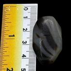Kraal - Bactrian Bead