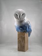 Federico Alibrio - Snowy Barn Owl