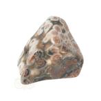 Oceaan Jaspis trommelsteen Nr 41 - 15 gram, Verzenden, Nieuw