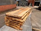 7X Boomstambladen, Populier, complete partij 460,- REF 782, Overige typen, Nieuw, Ophalen of Verzenden, 200 tot 250 cm