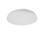 LED Plafondlamp 12W 4000K, Verzenden, Nieuw