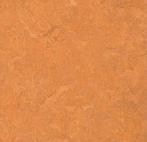 Forbo Marmoleum Sport 83176, Huis en Inrichting, Stoffering | Vloerbedekking, Verzenden, Nieuw