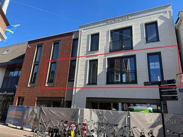 Te huur Woning/appartement in Oldenzaal, 2 kamer(s) 58 m² beschikbaar voor biedingen