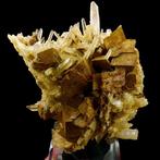 Kwarts met sideriet (oxiden pseudomorf) - Le Trou des