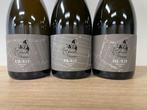 2019, Roses de Jeanne, UR-Les Ursules, PR-Presle &, Nieuw