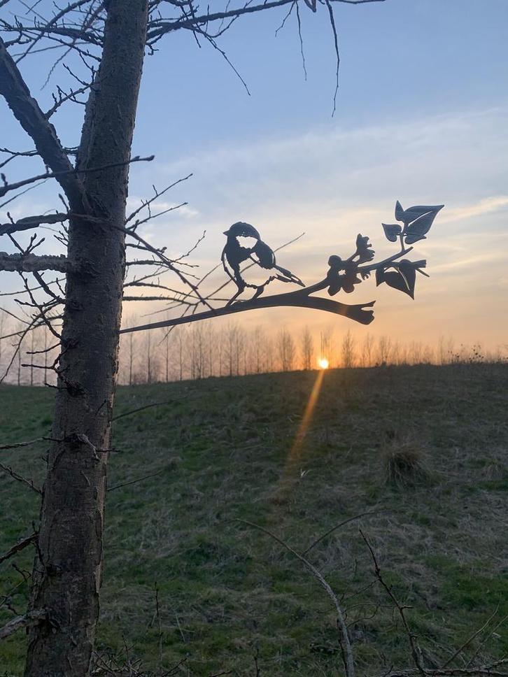 Tuindecoratie koolmees op tak | 39.0 cm x 15.0 cm, Tuin en Terras, Tuinwanddecoratie, Verzenden