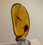 Birmese barnsteen - Barnsteen - Feather - 22 mm