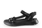 Skechers Sandalen in maat 37 Zwart | 10% extra korting, Skechers, Verzenden, Zwart, Sandalen of Muiltjes