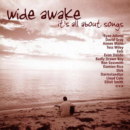 cd - Various - Wide Awake - Its All About Songs, Cd's en Dvd's, Cd's | Overige Cd's, Zo goed als nieuw, Verzenden