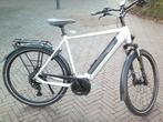 Pegasus SOLERO EVO 9 Actie met 1000,- euro korting !!!!, Fietsen en Brommers, Elektrische fietsen, Overige merken, Nieuw, Ophalen of Verzenden