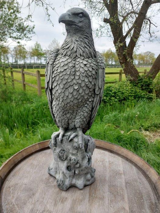 Beeld, XXL beeld adelaar - 60 cm - cast stone, Antiek en Kunst, Curiosa en Brocante