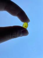Amber - Barnsteen - Cricket, Burmese Amber, Insect Amber 1