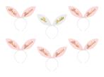 Team Bride Diadeem, Ophalen of Verzenden, Nieuw