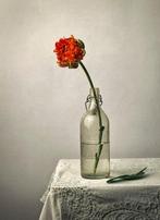 Tessa Posthuma de Boer - Natura Artis Magistra #6