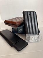 brandi sauro - brandi sauro - Zonder Minimumprijs -, Nieuw