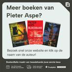 Episode / Van In / I 9789022335826 Pieter Aspe, Boeken, Verzenden, Zo goed als nieuw, Pieter Aspe