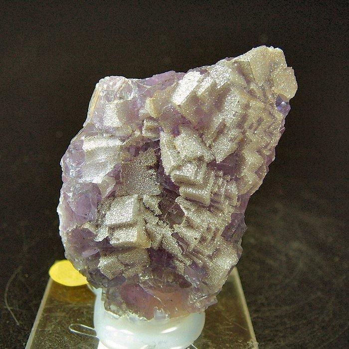 CW1808 Fluoriet met Kwarts Kristalcluster - Hoogte: 64 mm -, Verzamelen, Mineralen en Fossielen