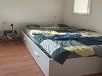 Kamer Boterdiep in Groningen, Overige soorten, Groningen