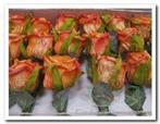 foam roos Elegant 5 cm. Oranjecomb. / st foam roos Eleg, Ophalen of Verzenden, Nieuw