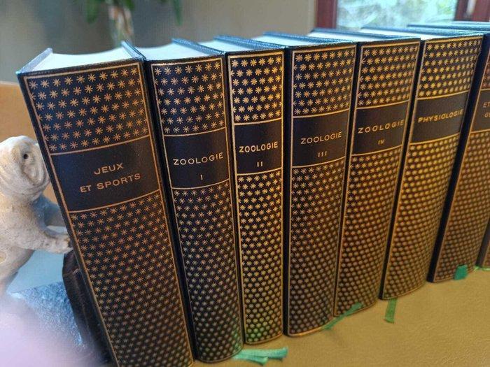 Péquignot - Pléiade NRF Gallimard. Lot de 15 volumes, Antiek en Kunst, Antiek | Boeken en Bijbels
