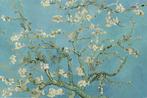 Poster Van Gogh Almond Blossom 91,5x61cm, Verzamelen, Verzenden, Nieuw, A1 t/m A3