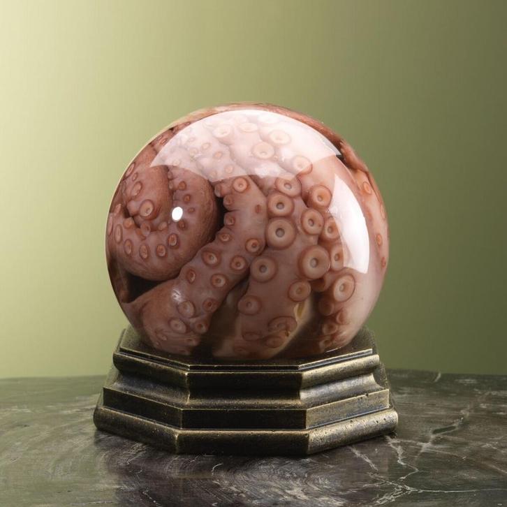 Octopus op Sterk Water Taxidermie Opgezette Dieren By Max, Verzamelen, Dierenverzamelingen, Opgezet dier, Nieuw, Wild dier, Ophalen of Verzenden