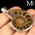 Zilveren hanger met Cleoniceras ammoniet en ammolit inleg -, Verzamelen, Mineralen en Fossielen